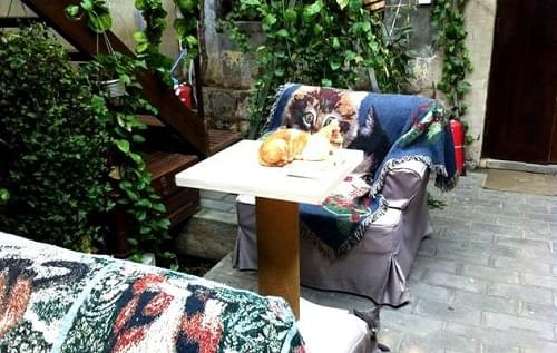 Cat café, Wudaoying Hutong
